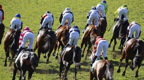what is a same race multi|Same race multi bets on horse racing .
